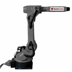 Industrial robot